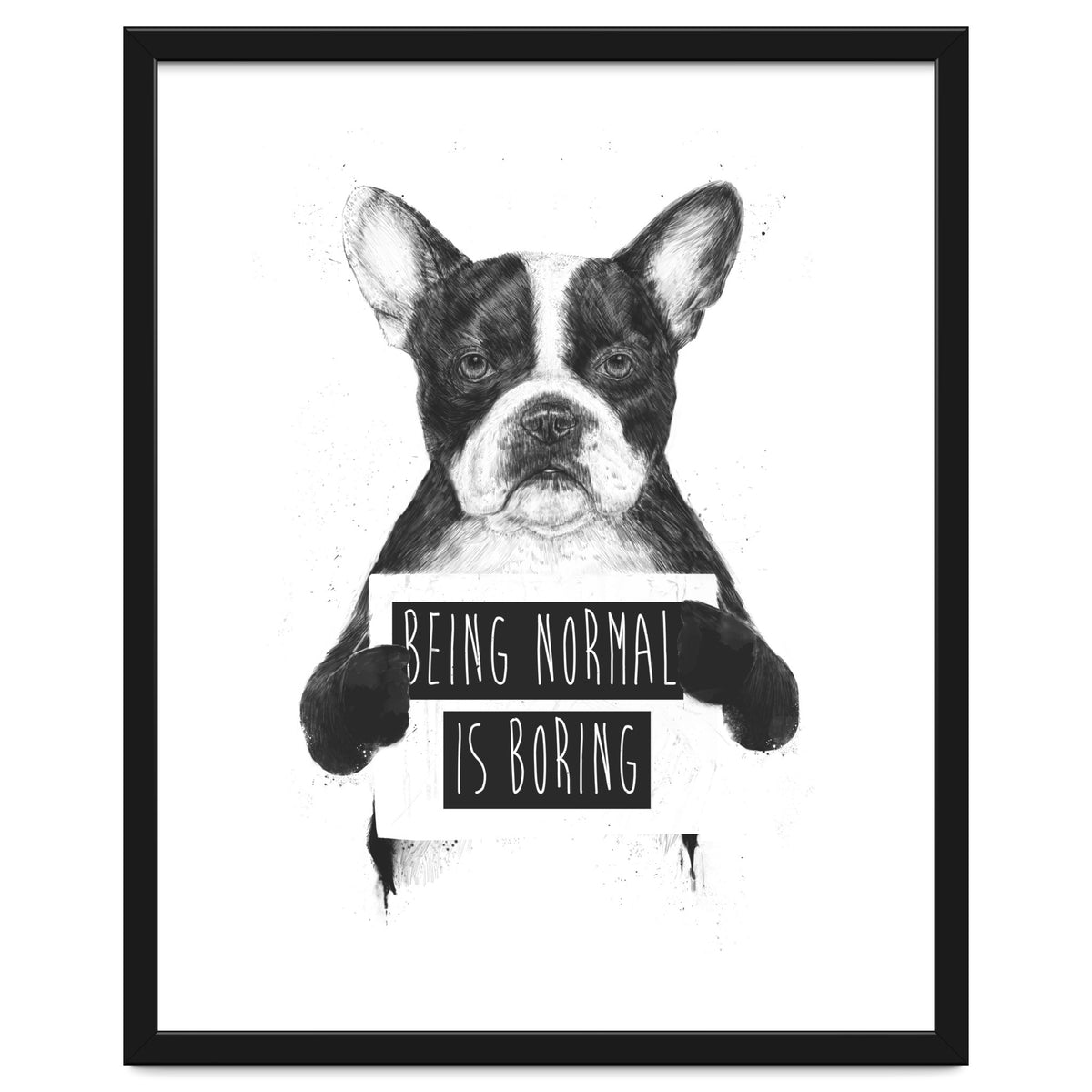 Being Normal Is Boring