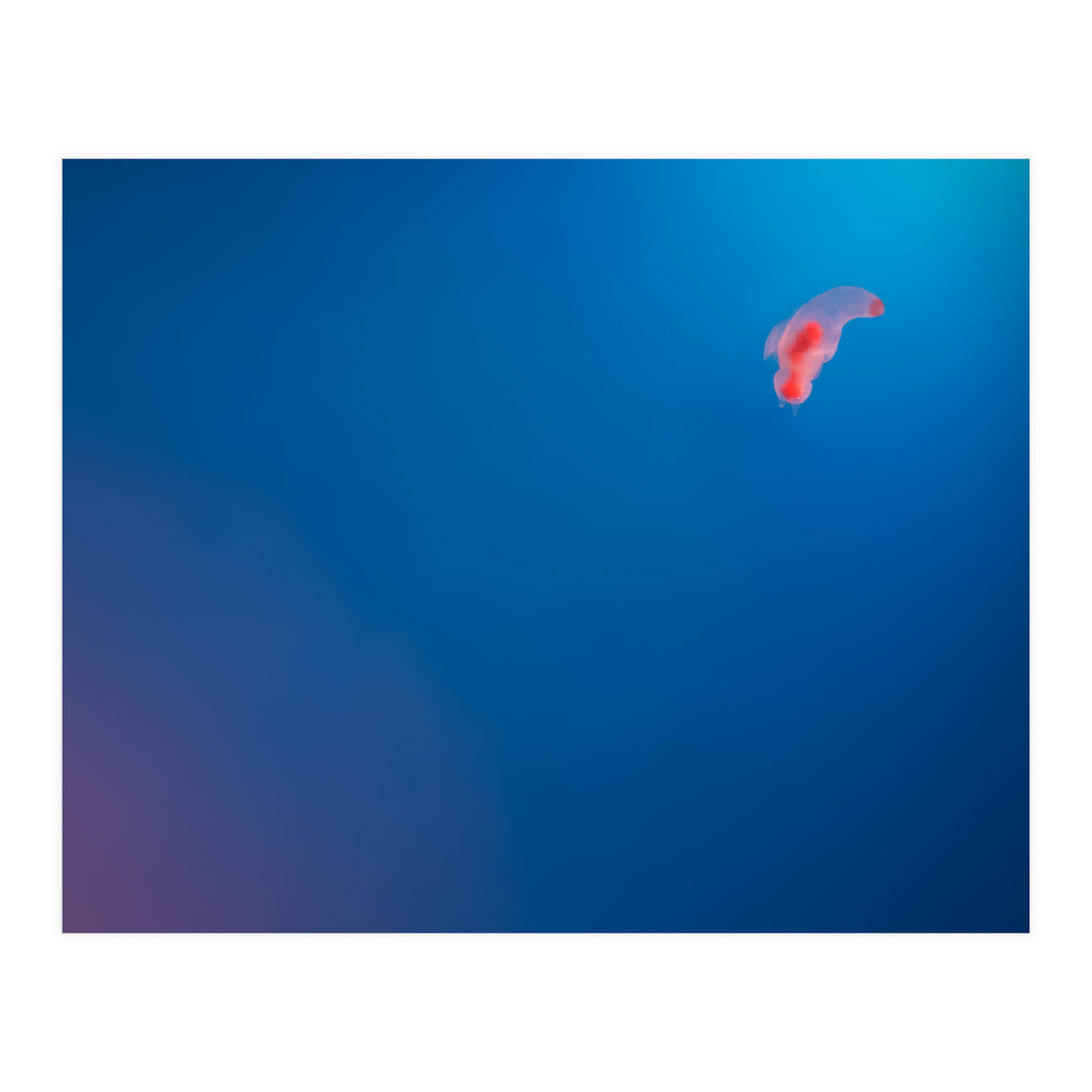 Absolute Zero (Print Only)