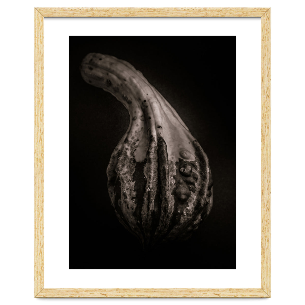 Gourds No 2