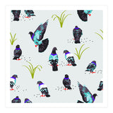 Pigeons (Print Only) thumbnail