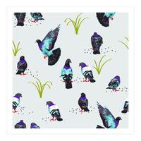 Pigeons (Print Only)