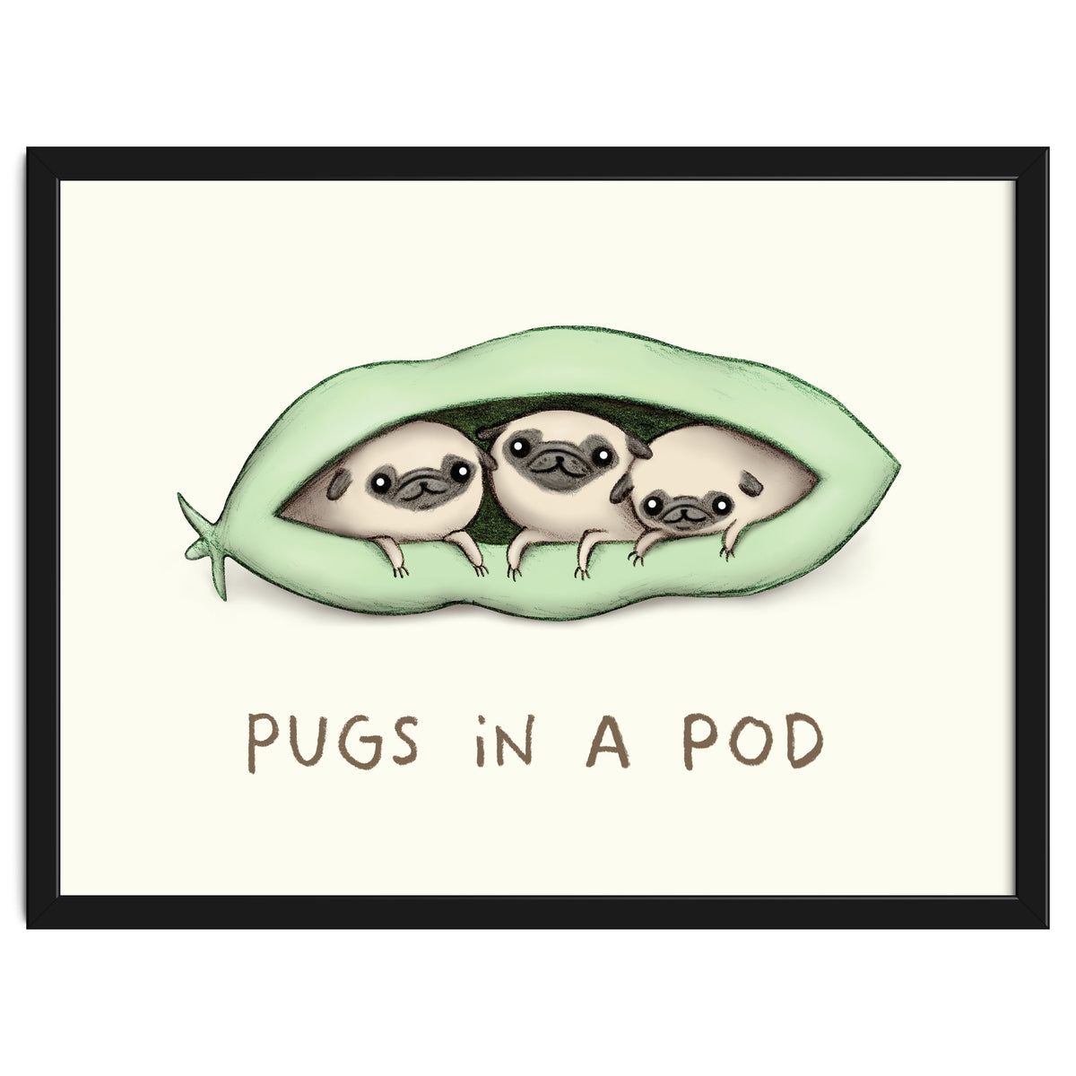 Pugs In A Pod
