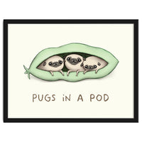Pugs In A Pod