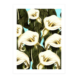 Pattern floral Ethiopian-Calla (Print Only) thumbnail