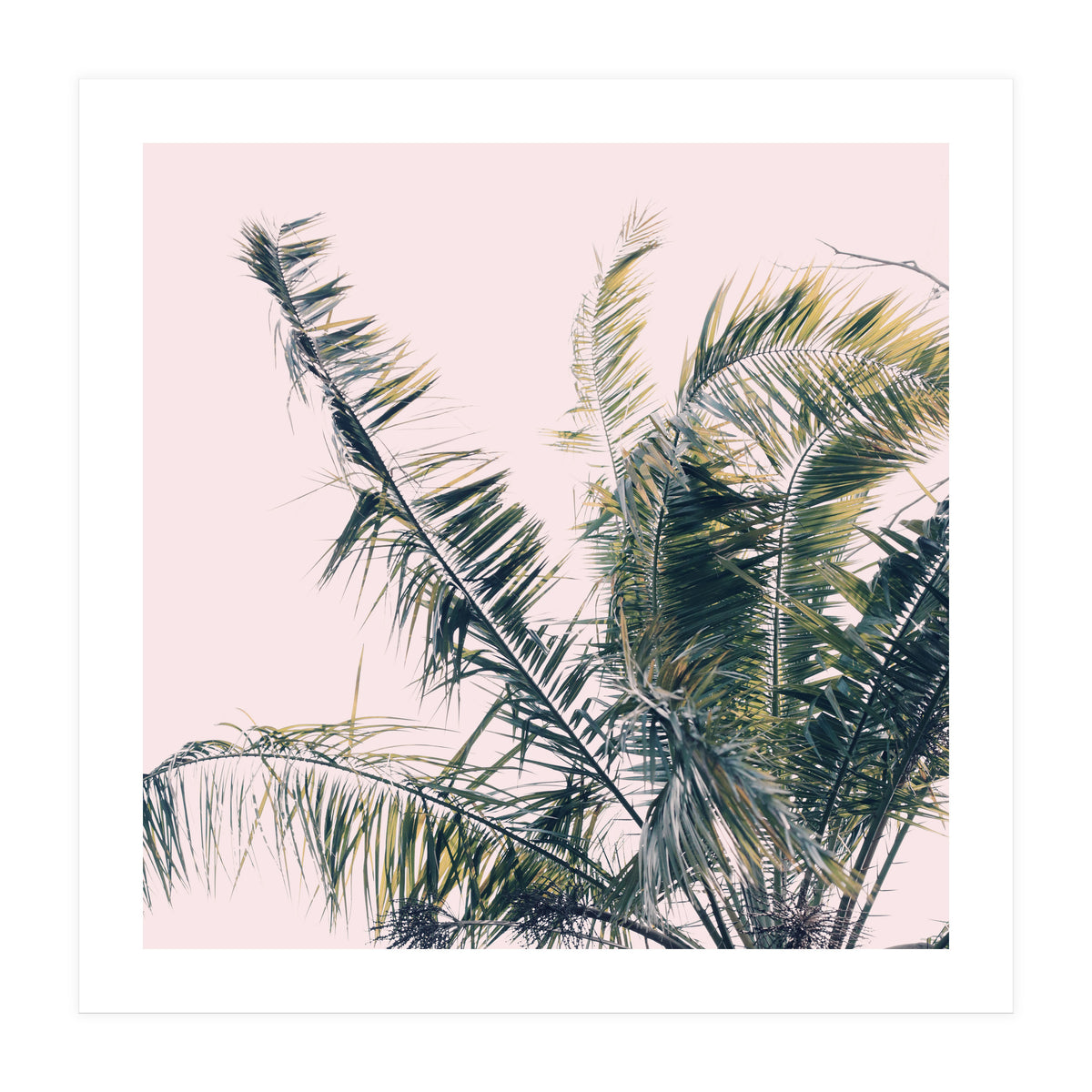 Winds Of Change #1 (Print Only)