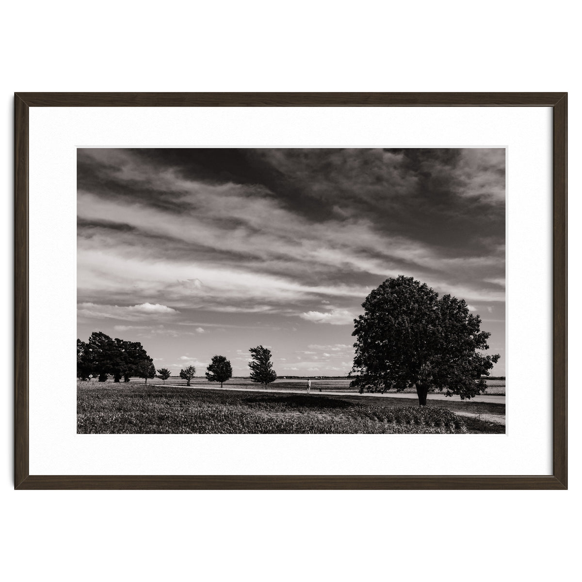 Country Road, Illinois