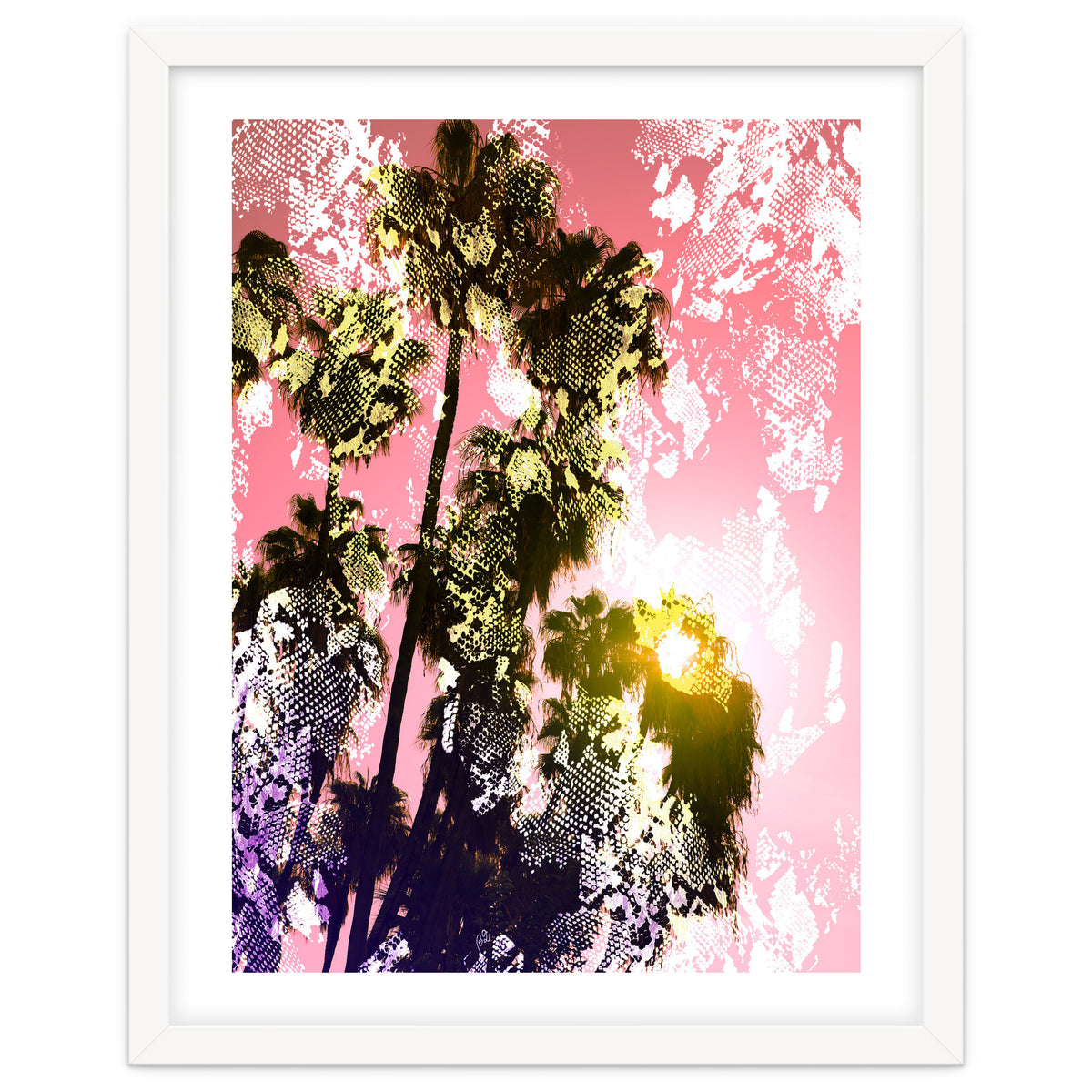 Snake sunset in paradise