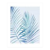 Coastal Palm Fronds (Print Only) thumbnail