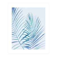 Coastal Palm Fronds (Print Only)