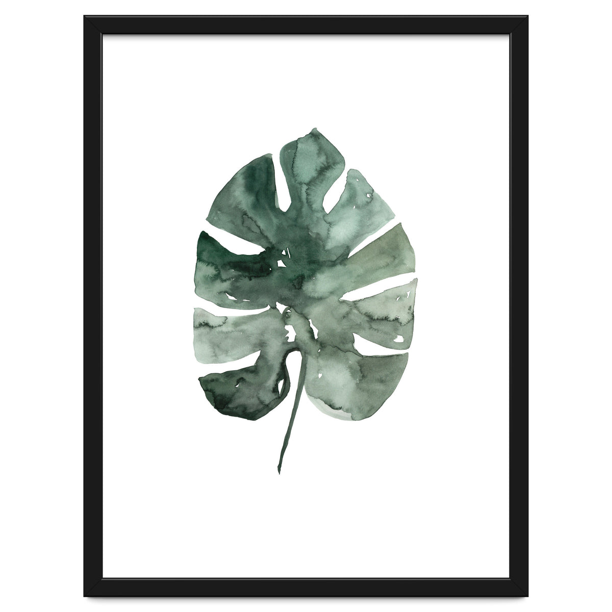Botanical Illustration Monstera Leaf