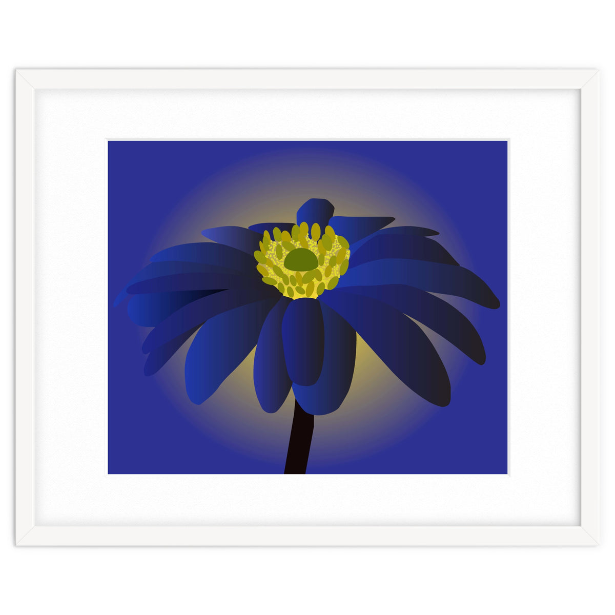 Anemone Blanda Flower Art