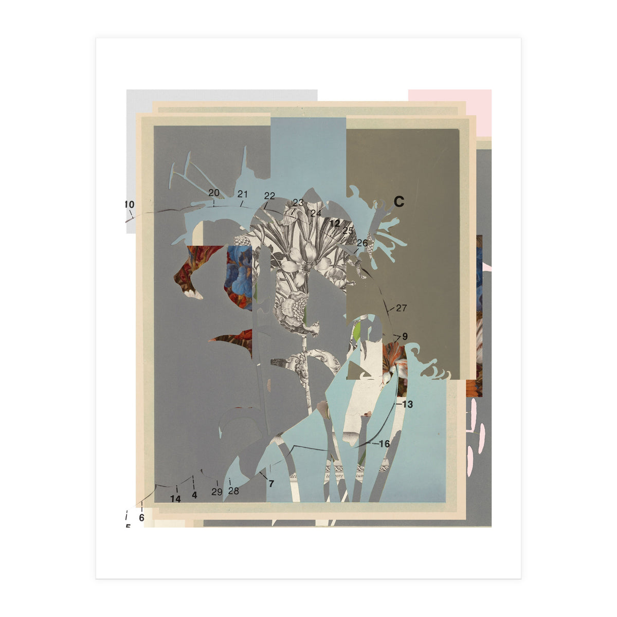 The First Plant · D (Print Only)