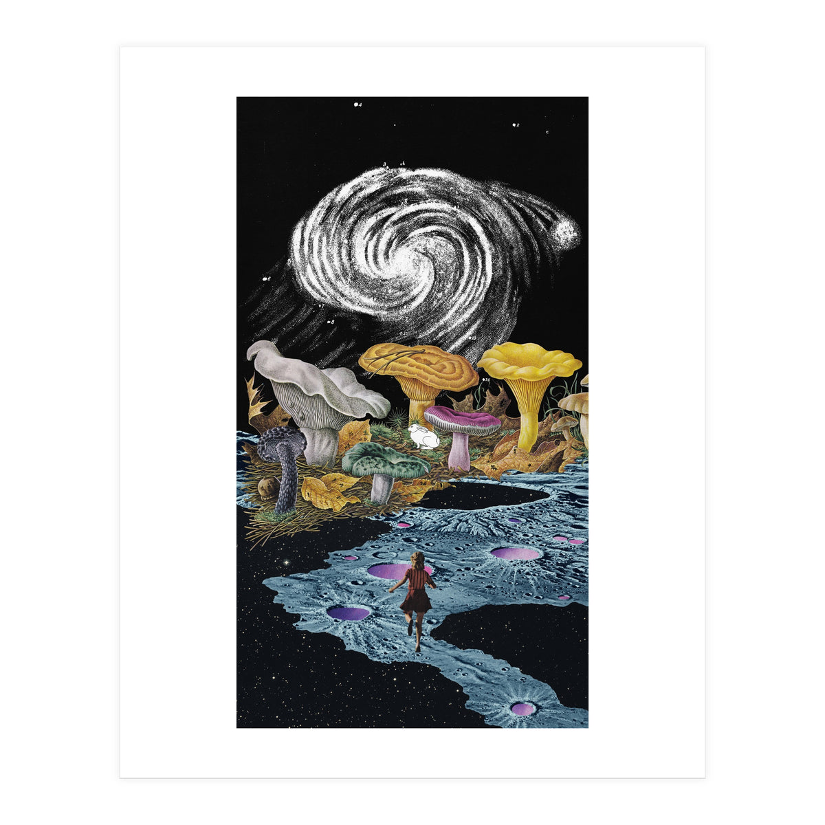 Follow The White Rabbit (Print Only)