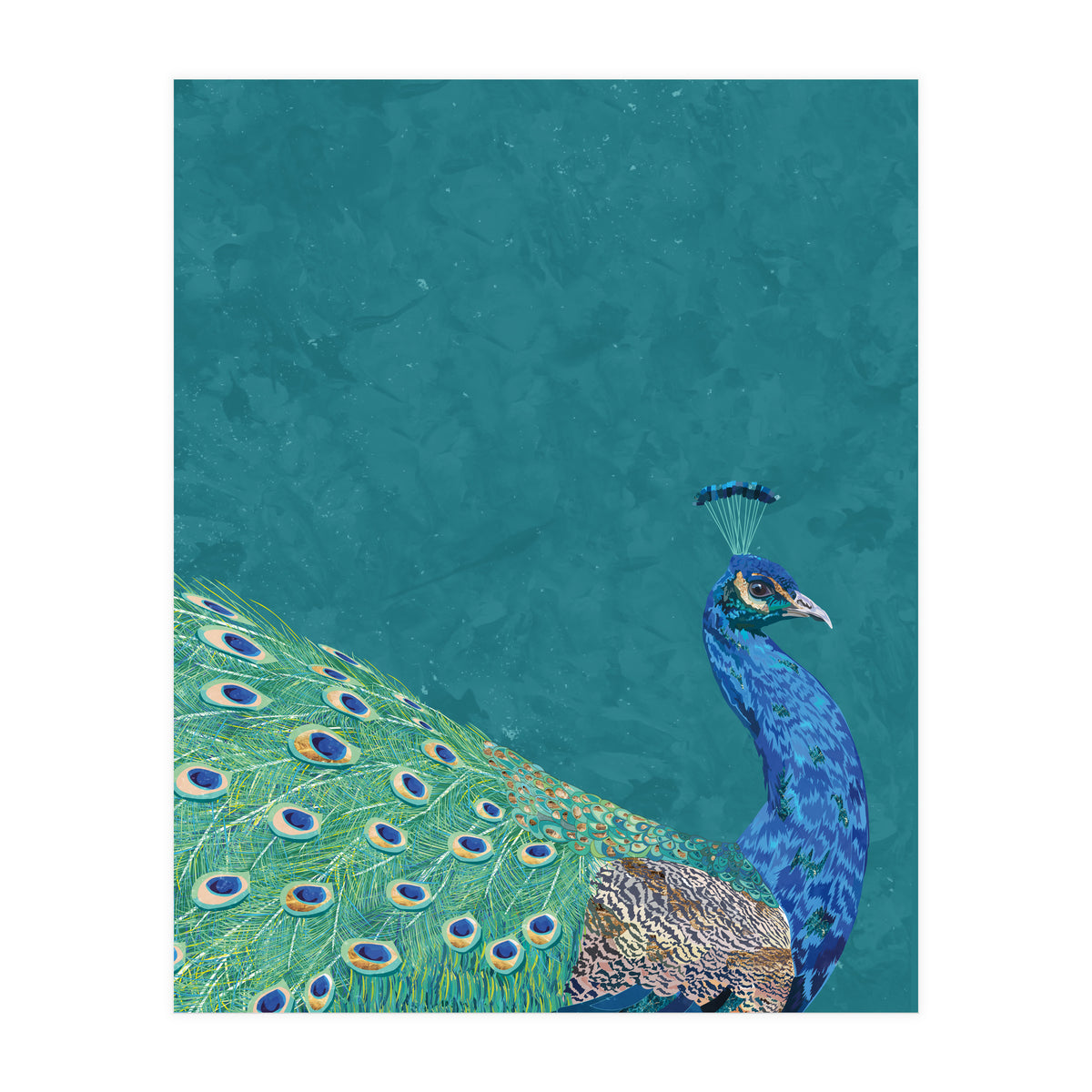 Perfect Peacock Turquoise Portrait (Print Only)