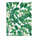 Botanica (Print Only) thumbnail