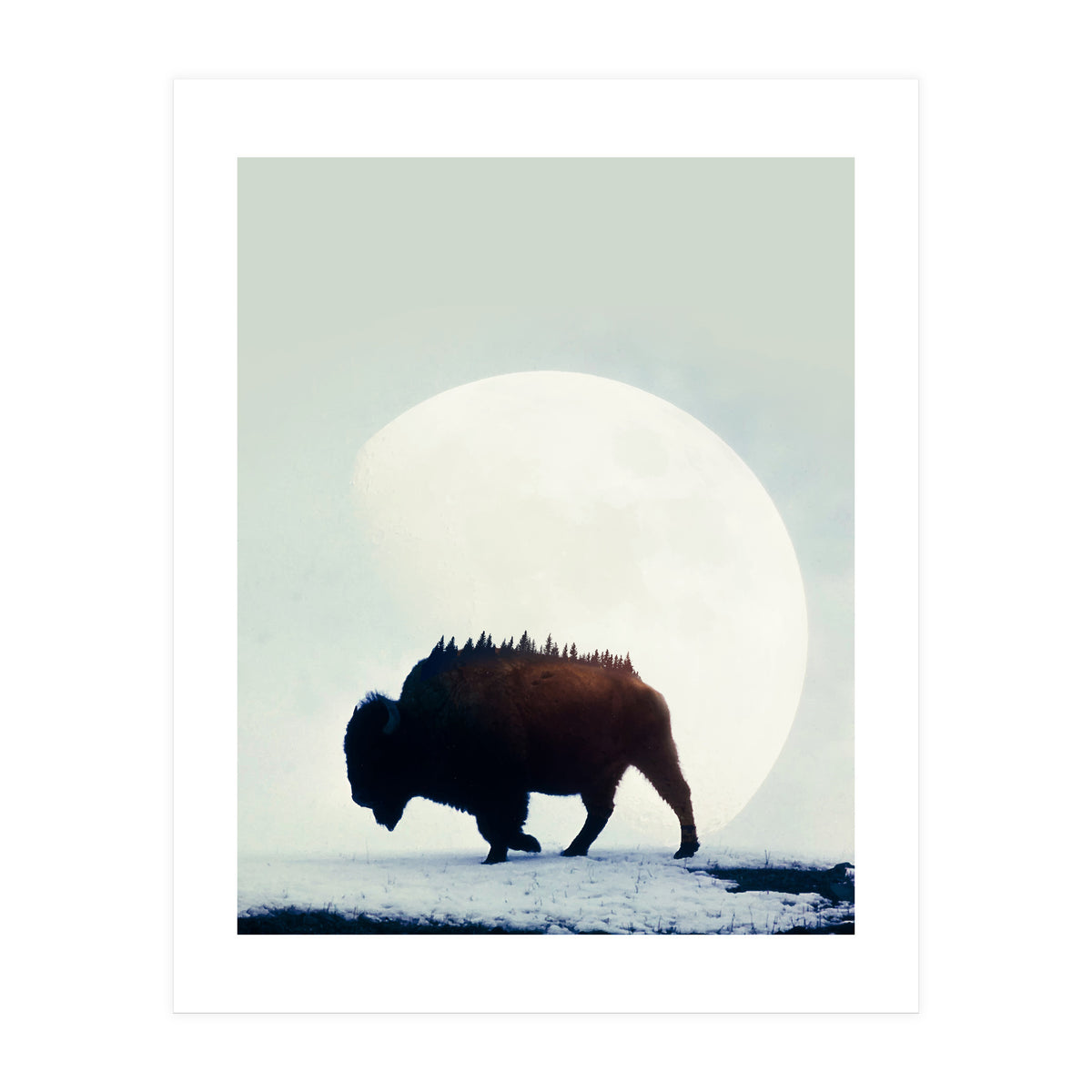 Wild West (Print Only)