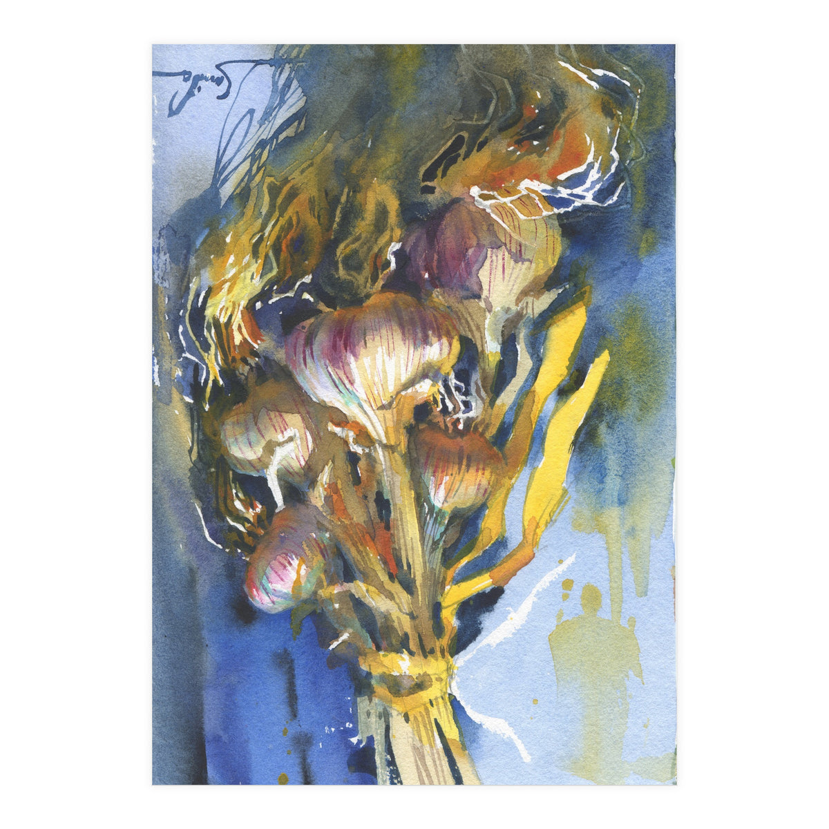 Sunny still life Garlic (Print Only)