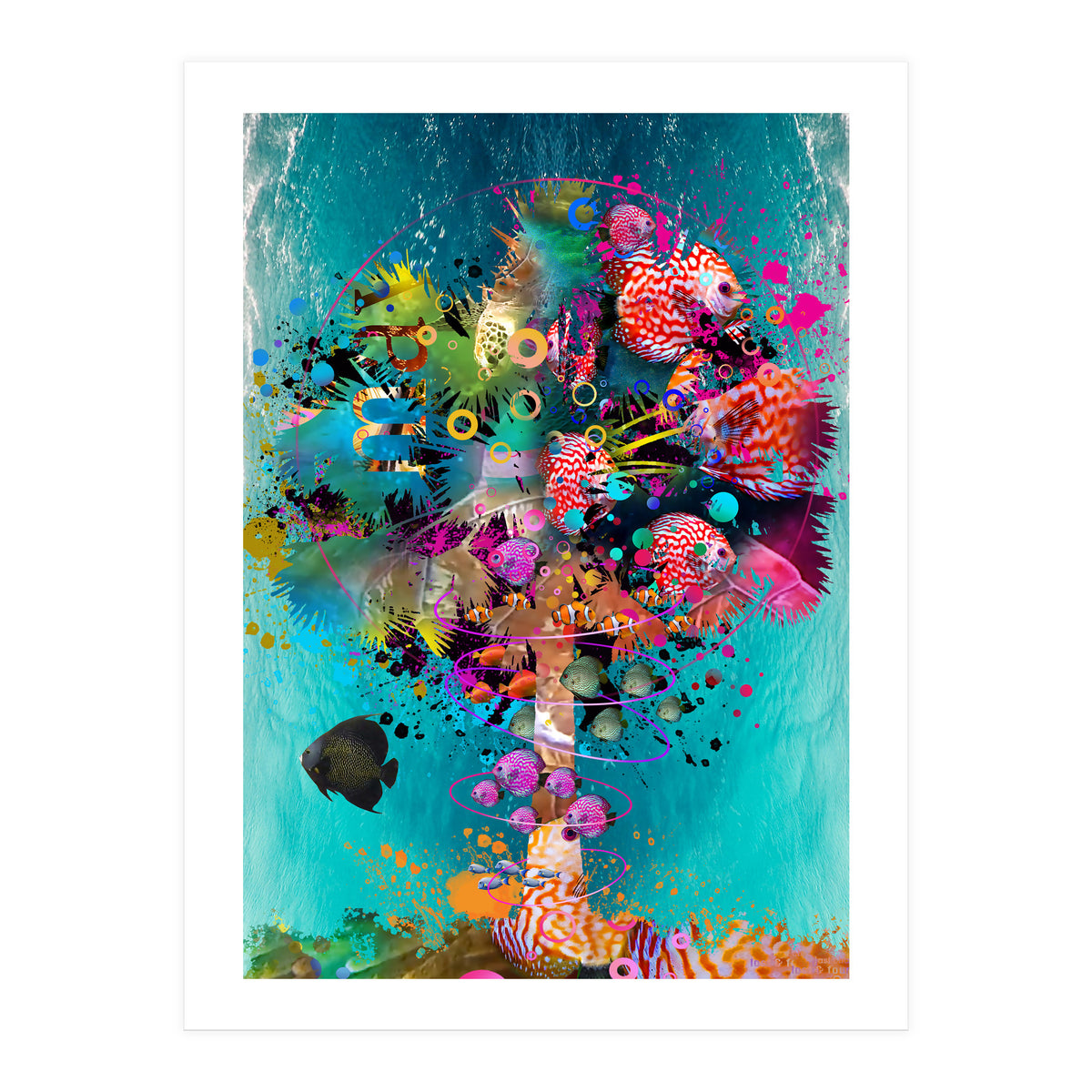 Surf Palm 02 Halfed Large2 (Print Only)