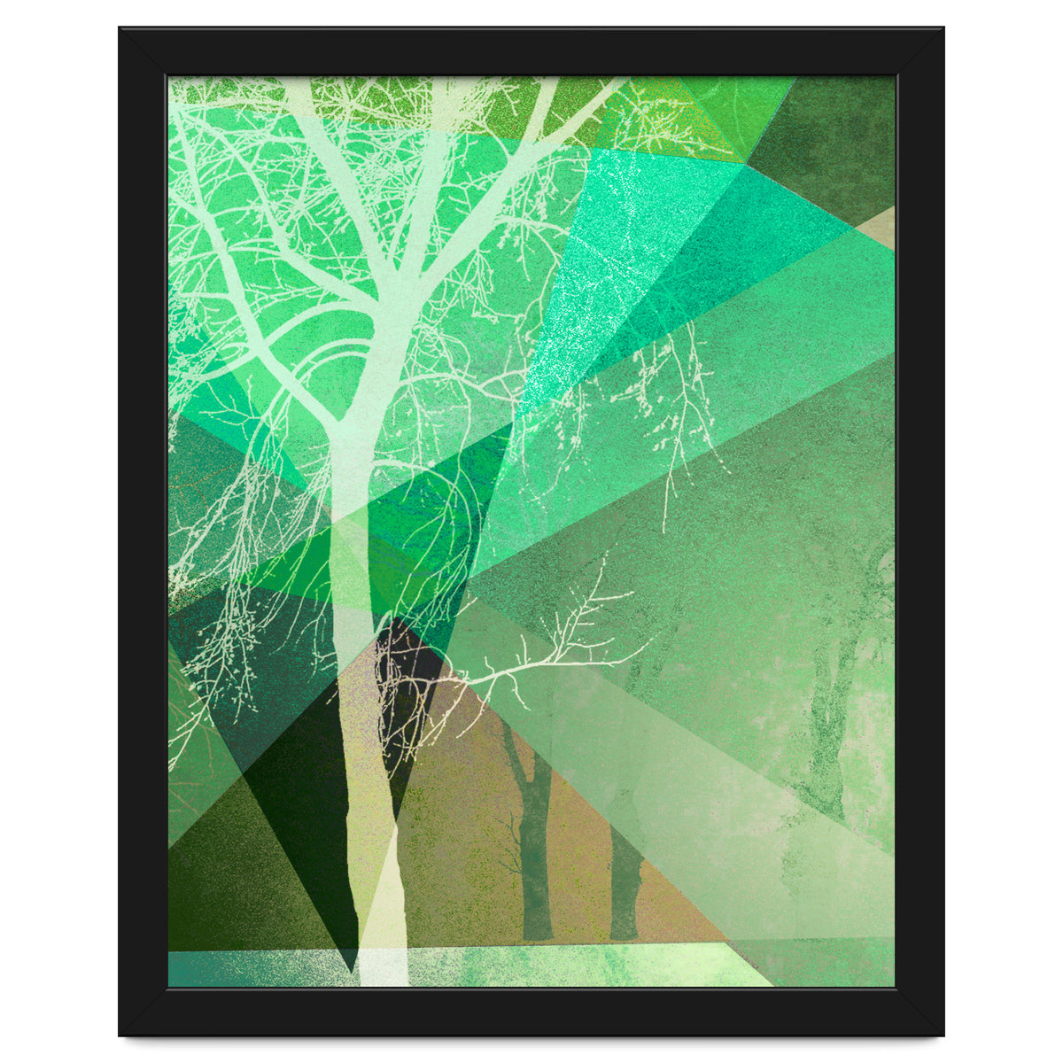 P22 B Trees And Triangles