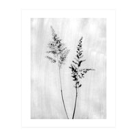 Delicate Wildflowers (Print Only)