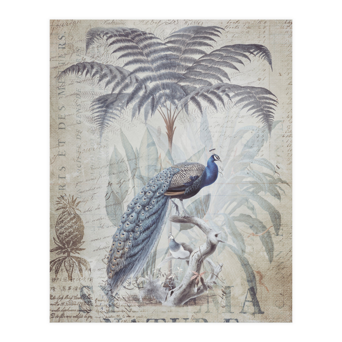 Peacock Jungle (Print Only)