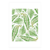 Ferna (Print Only) thumbnail