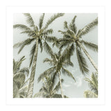 Lovely Palm Trees | Vintage (Print Only) thumbnail