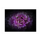 Backyard Flowers No 42 Color Version (Print Only) thumbnail