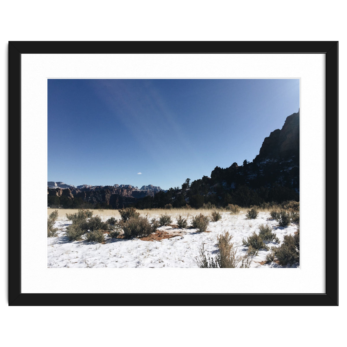 Zion National Park II