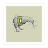 Kiwi Anatomy (Print Only) thumbnail