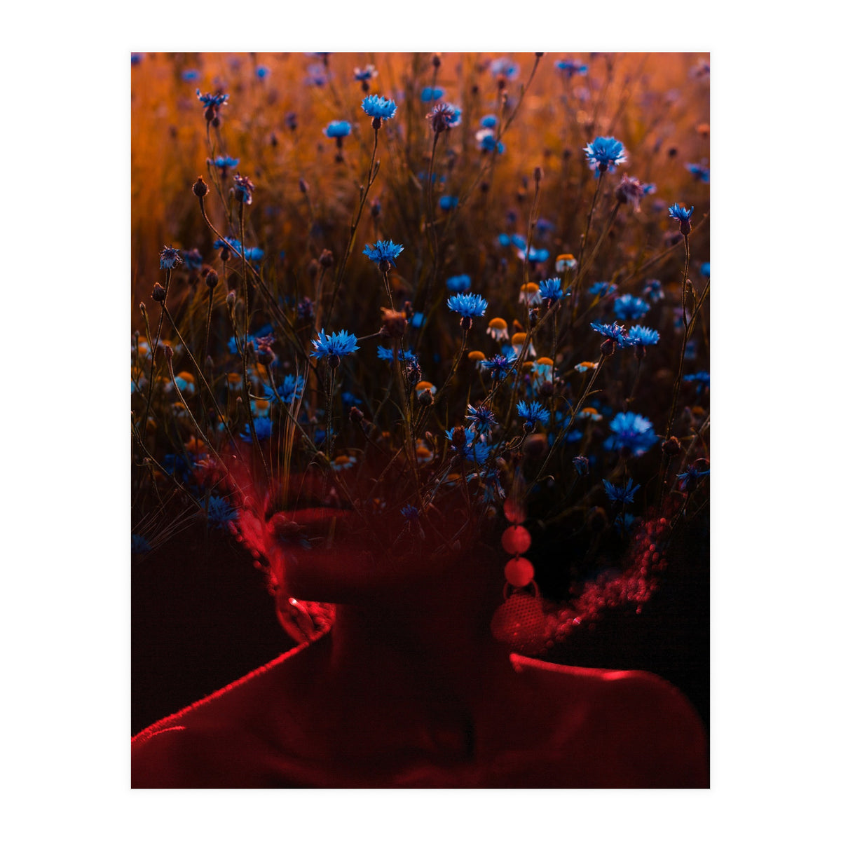 Dream Division 10 (Print Only)