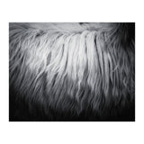 hair (Print Only) thumbnail