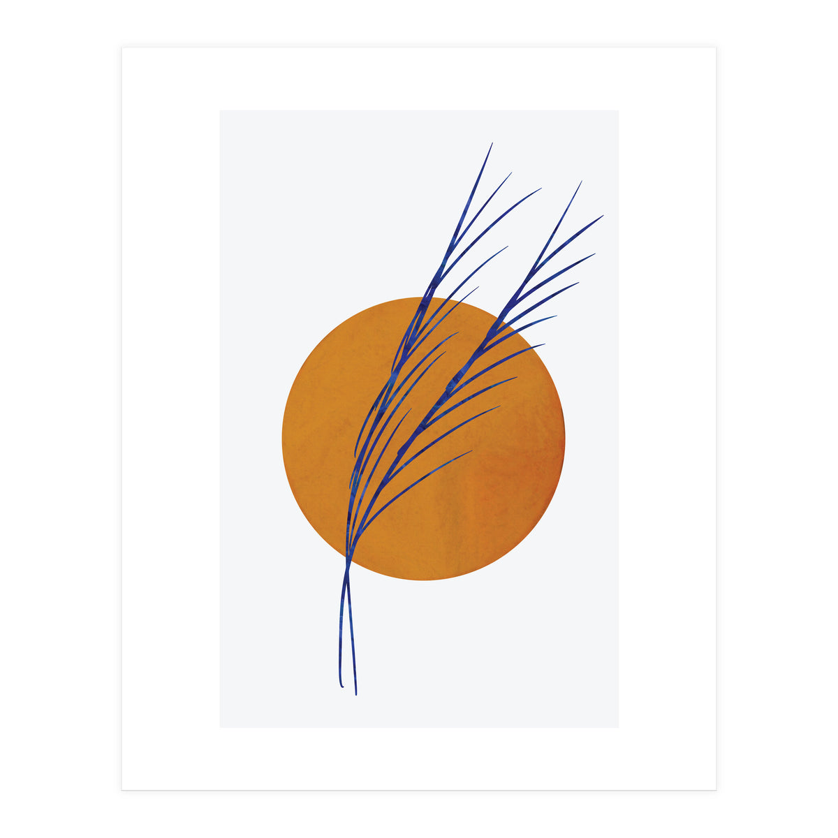 Floral Abstract Study 2  (Print Only)