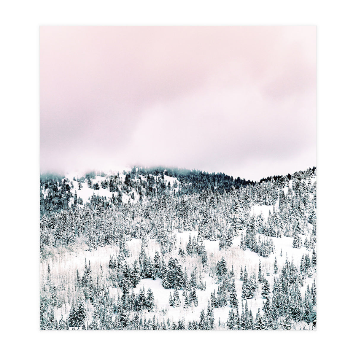 Snow Season (Print Only)