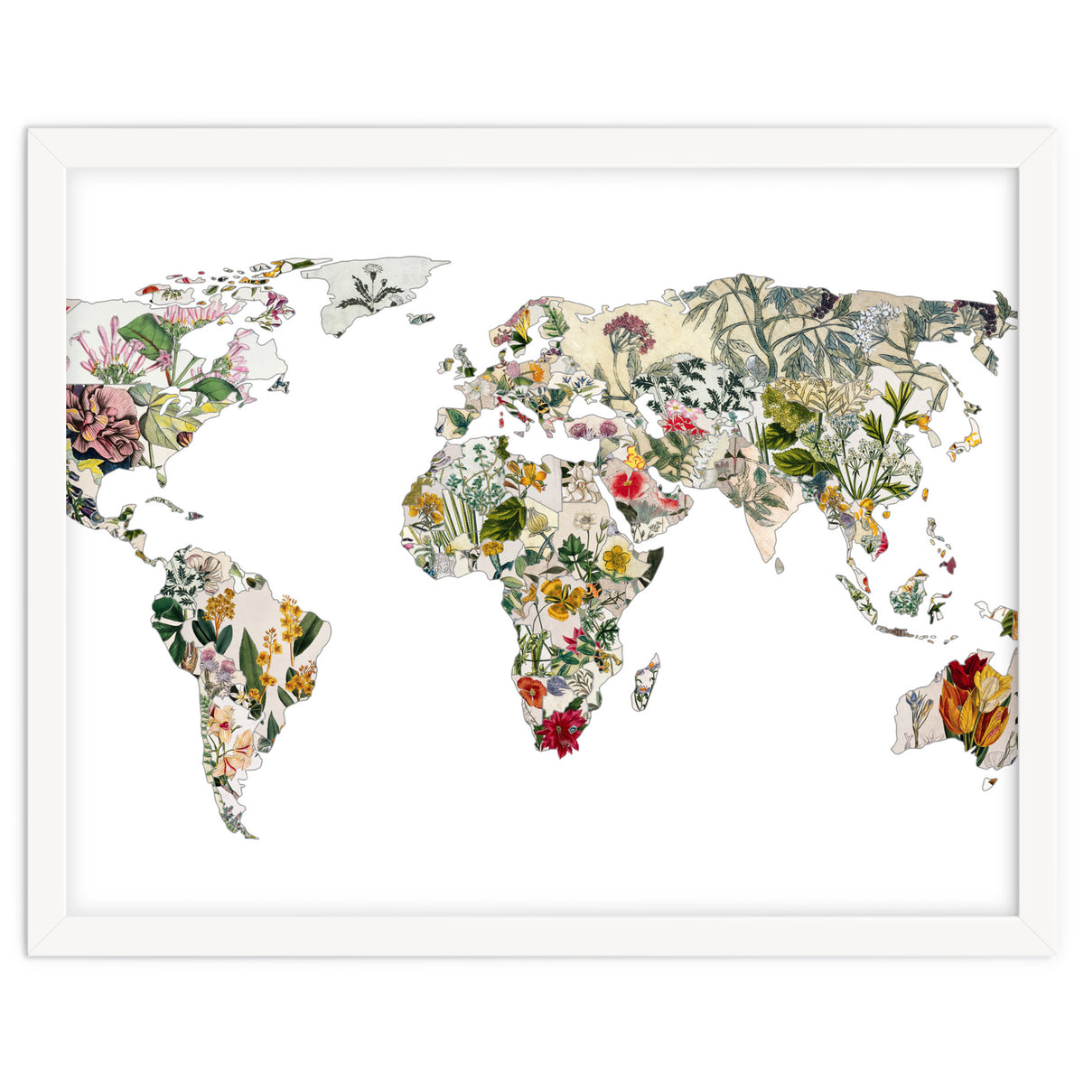 Vintage Botanical Map