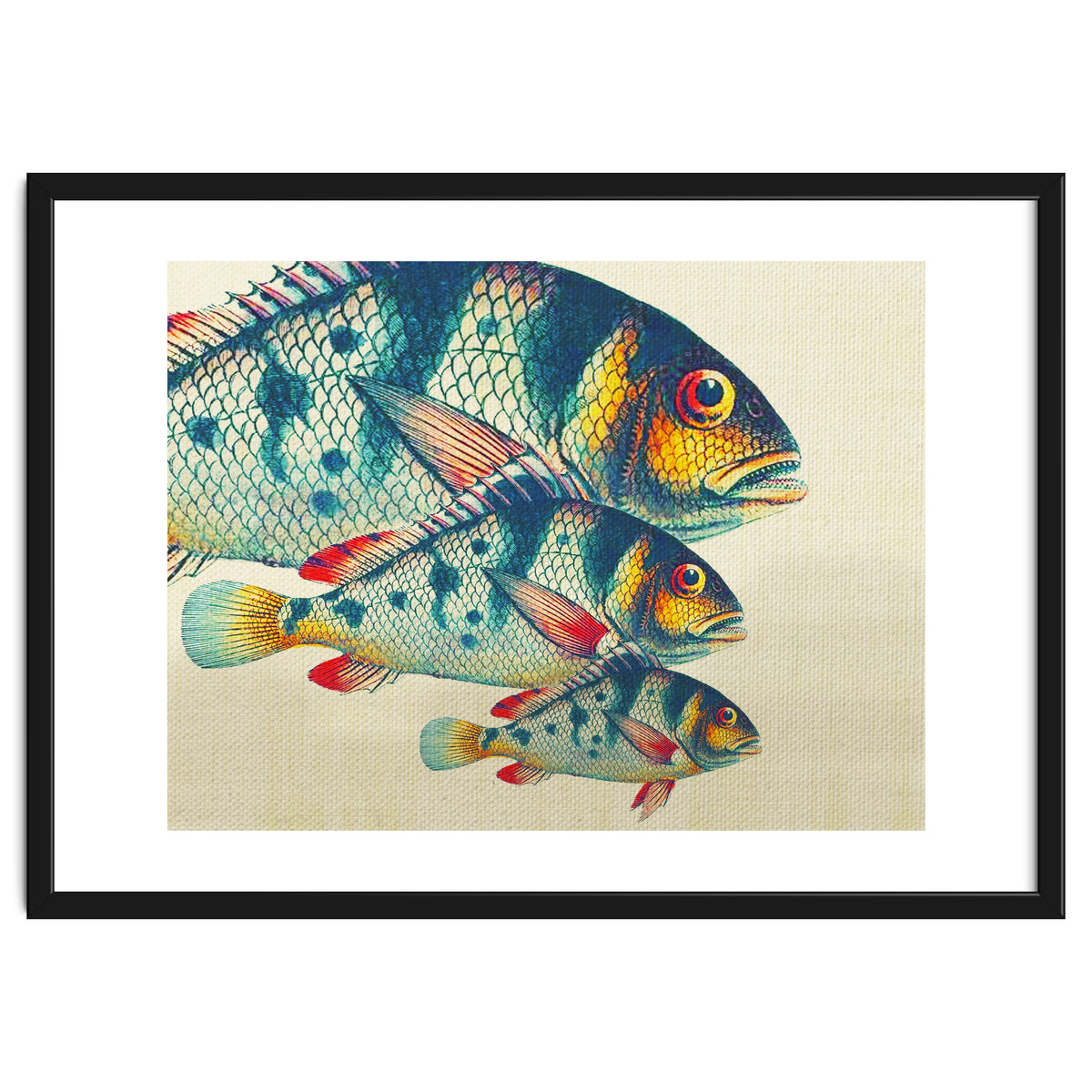 Fish Classic Designs 3