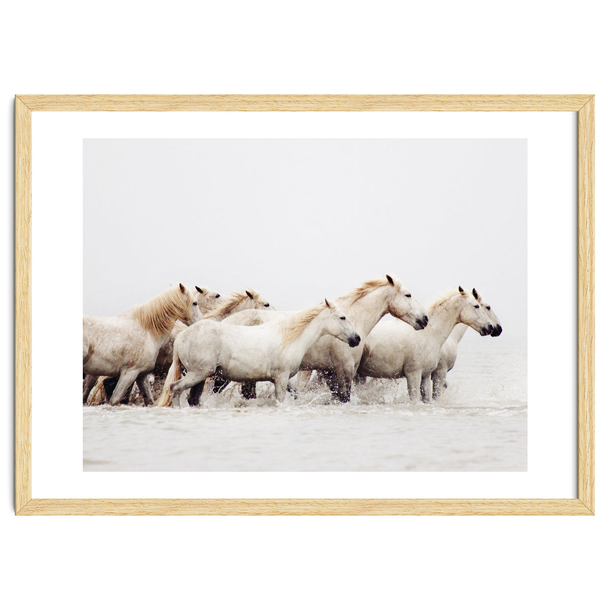 White Horses - Nature Photography