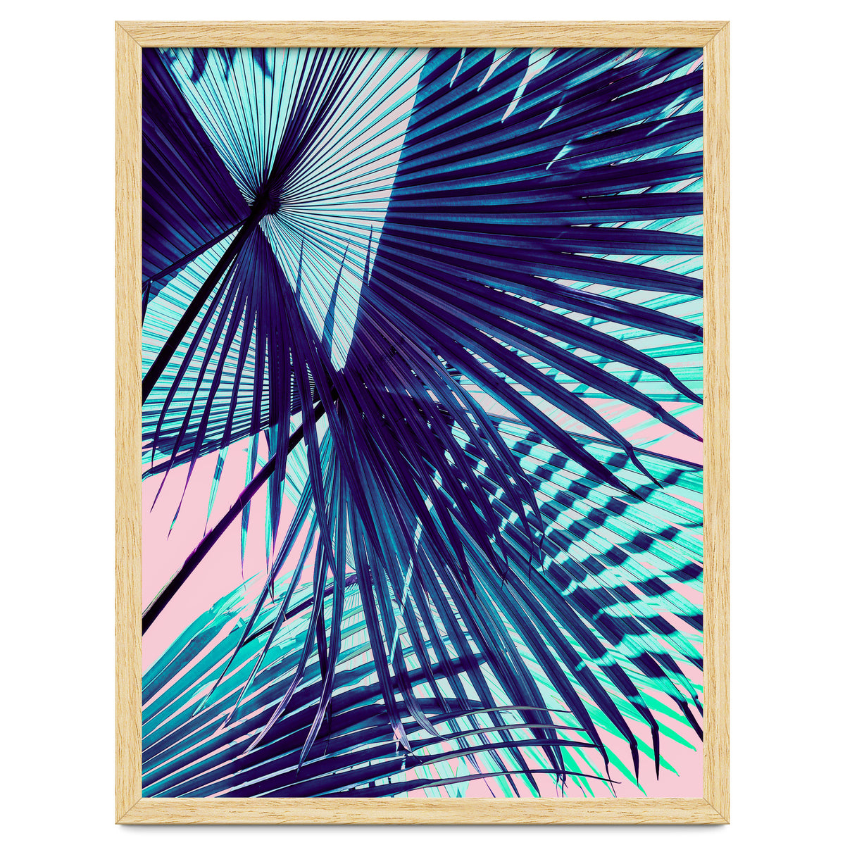 Palm leaf on the beach
