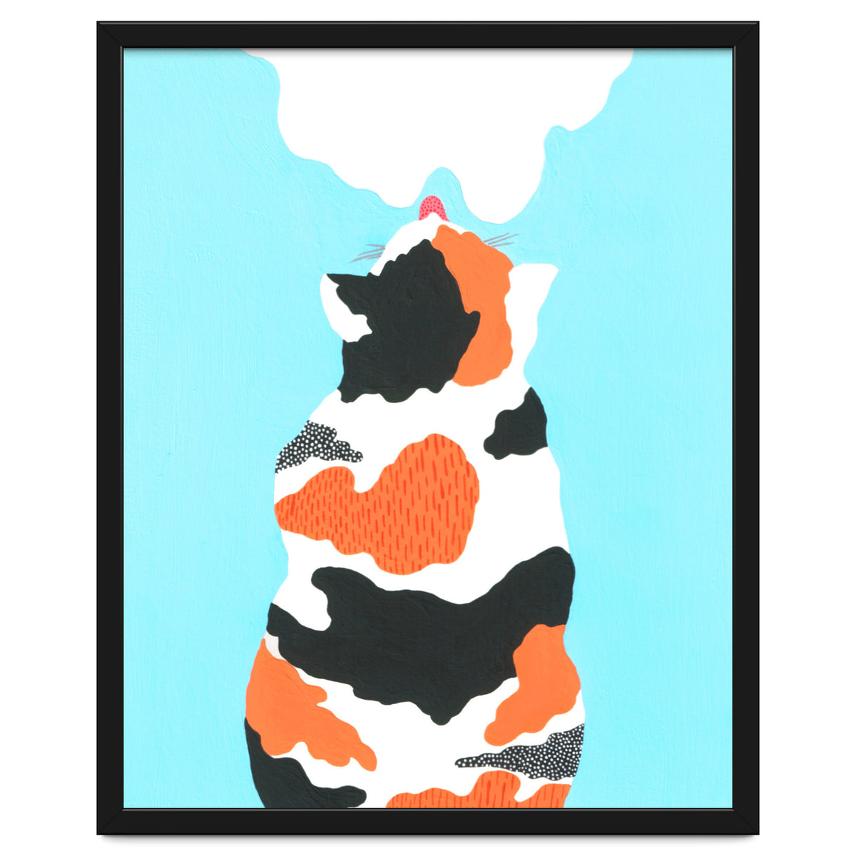 Tri Colored Calico Cat