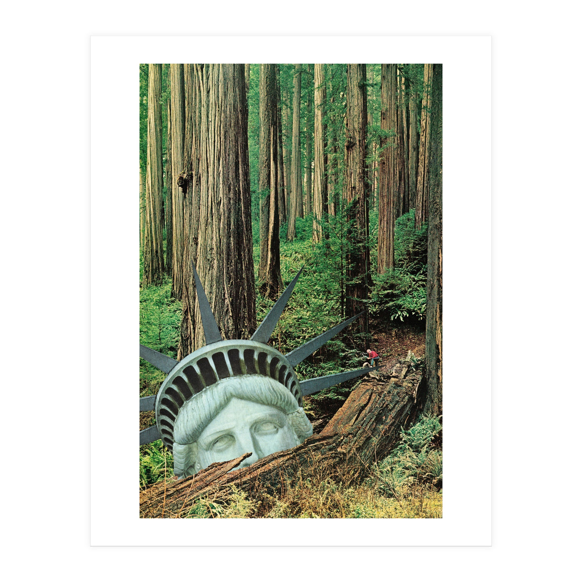 Multiverse (Print Only)