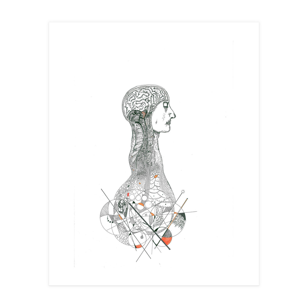 Anatomy (Print Only)