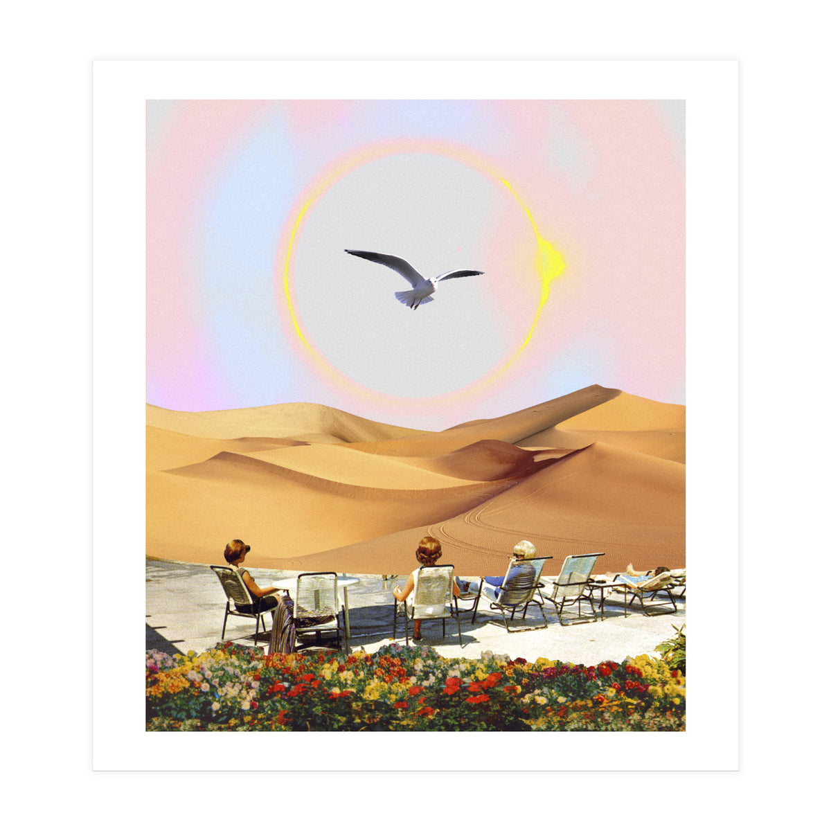 Birdwatching 2.0. (Print Only)