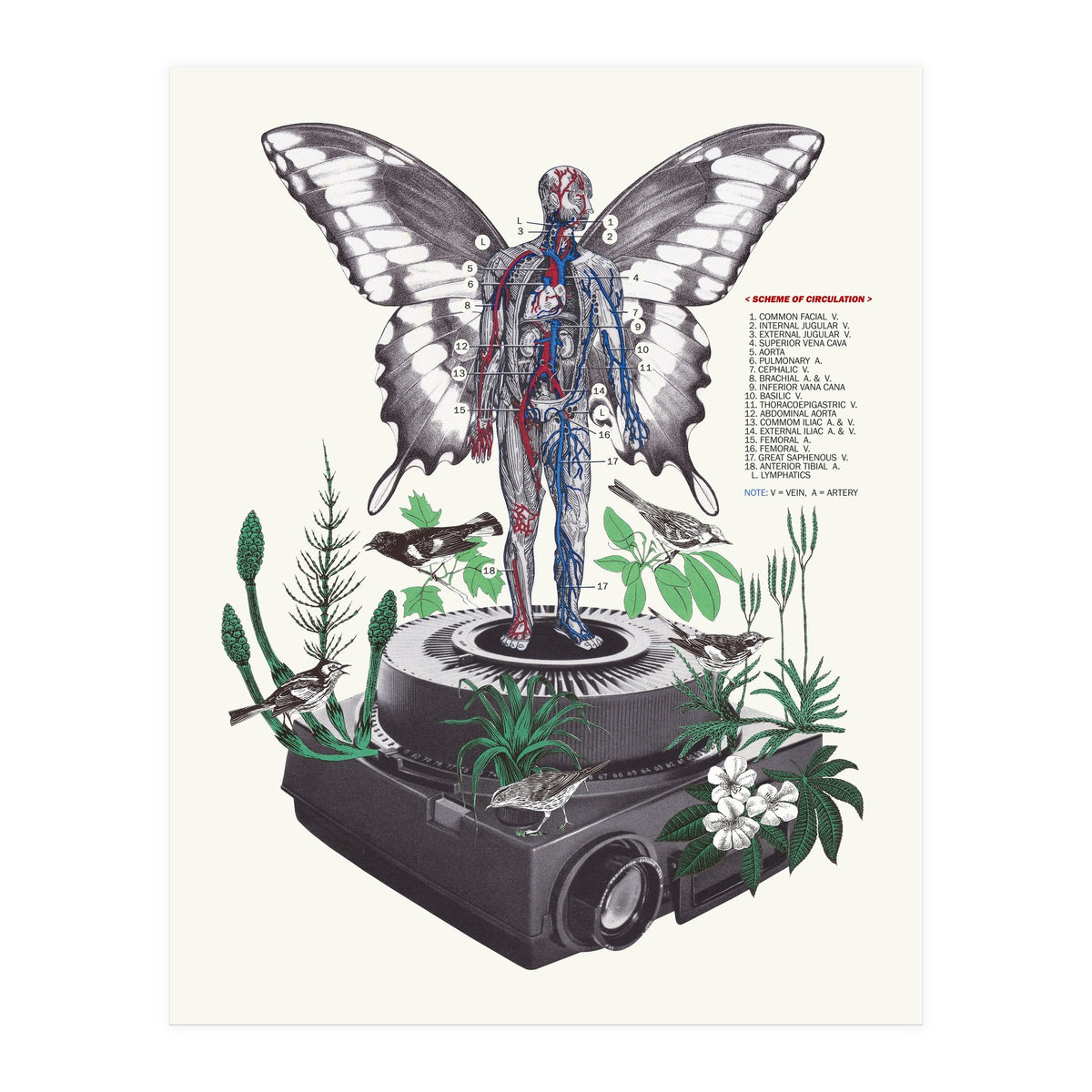 Hologram (Print Only)