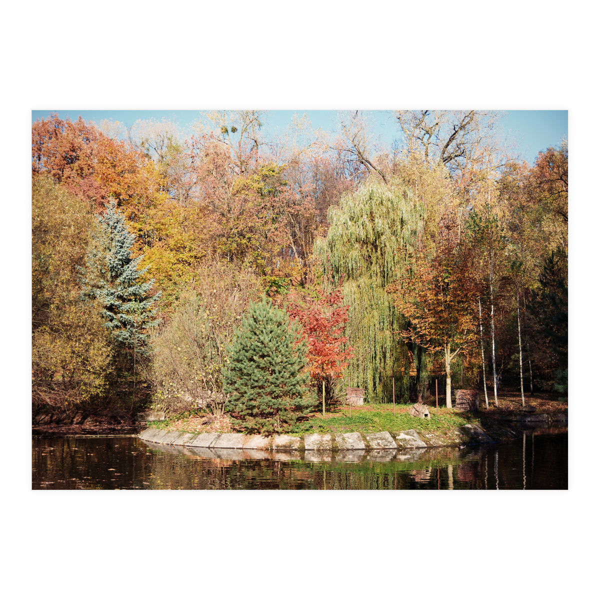 Camouflaged Animals (Print Only)