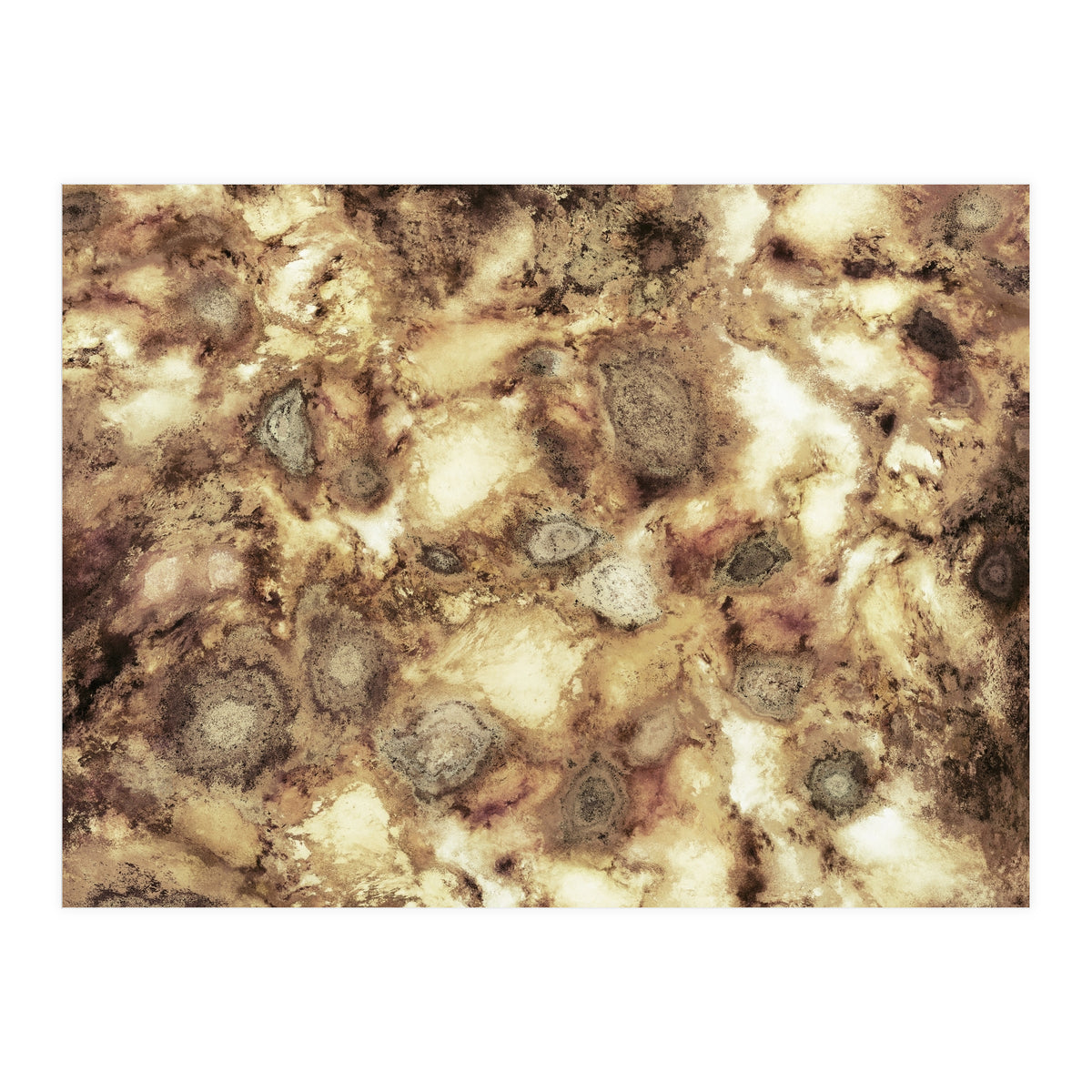 The Hard Crash (Print Only)