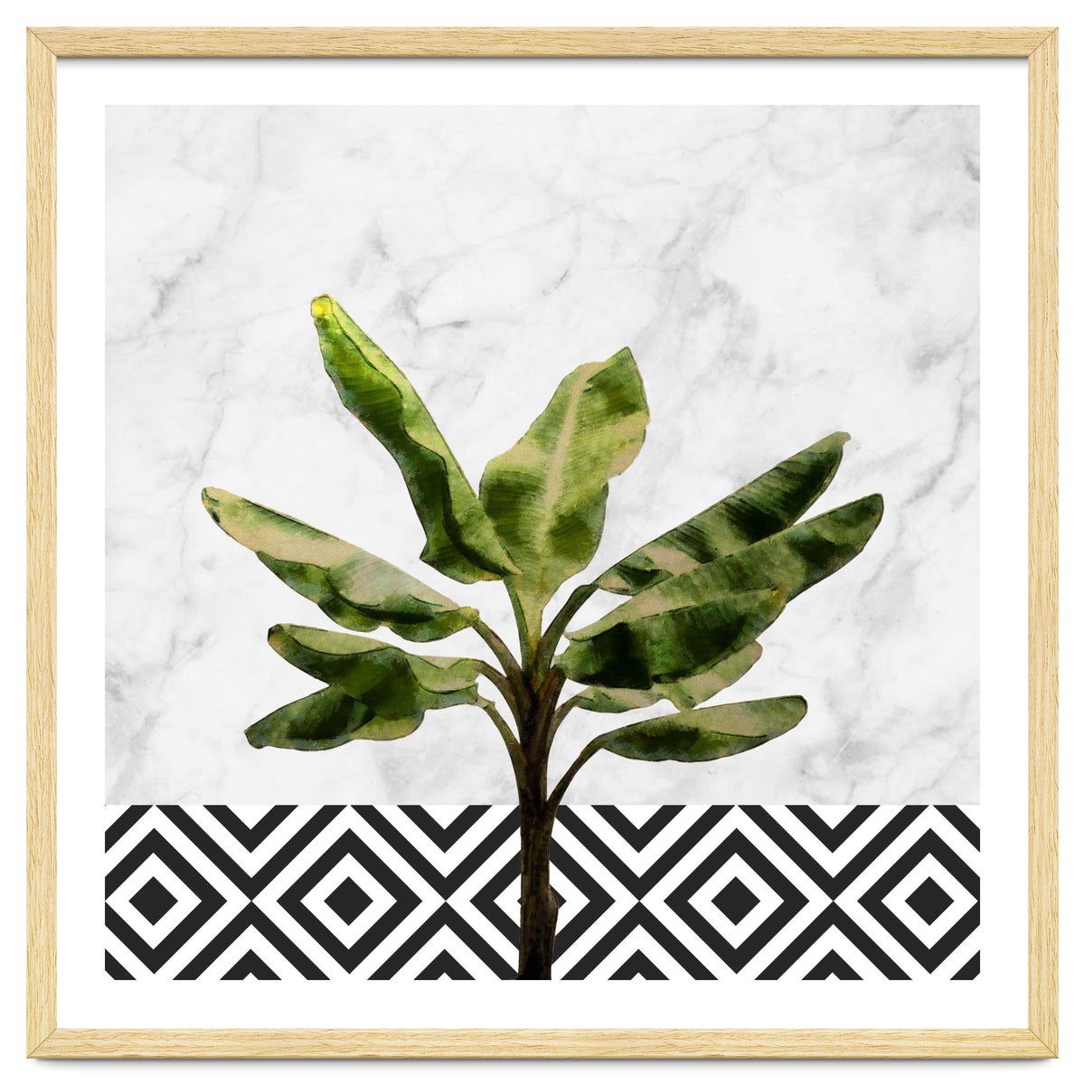 Banana Plant On White Marble And Checker Wall