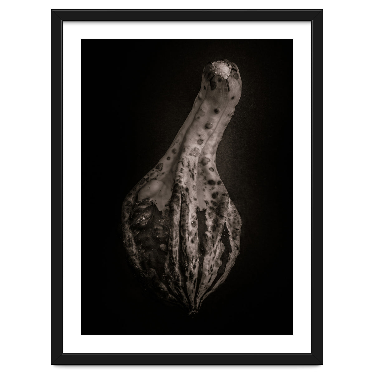 Gourds No 3
