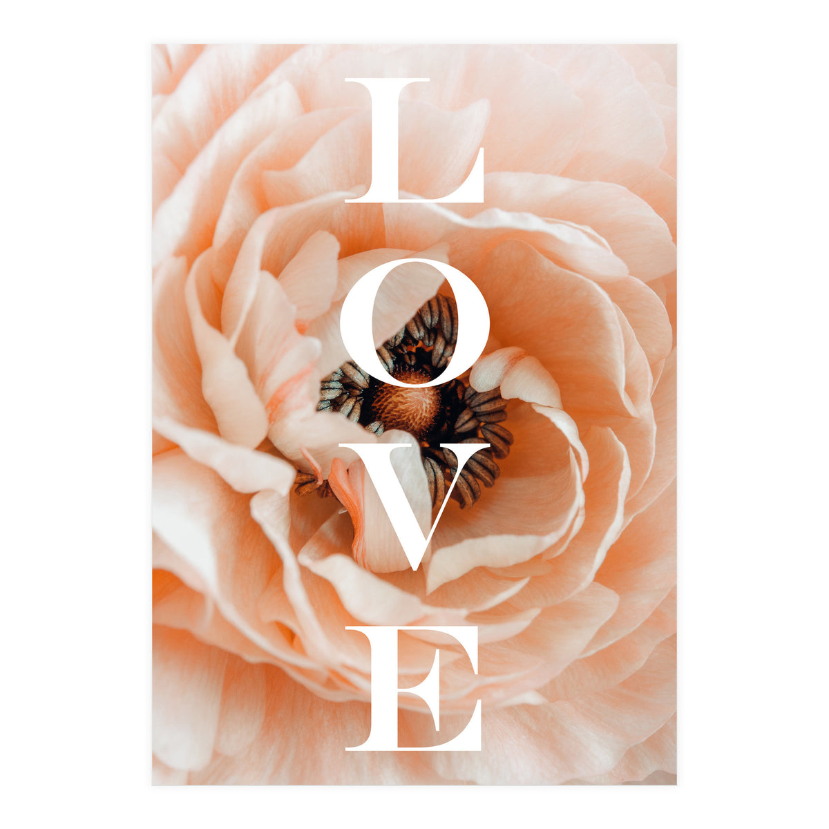 Love (Print Only)