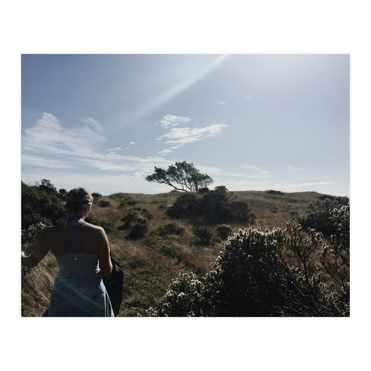 Mt. Tamalpais (Print Only)