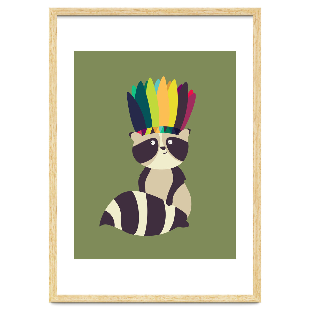 Indian Raccoon
